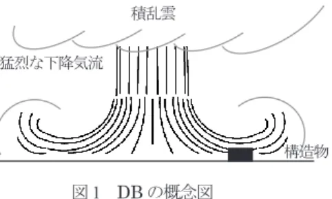 図 1  DB の概念図積乱雲猛烈な下降気流
