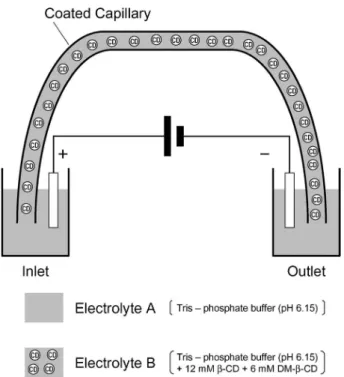 Fig. 4 The developed electrophoresis method using two kinds of electrolyte.