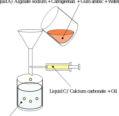 Fig. 2 Production process of microcapsules 