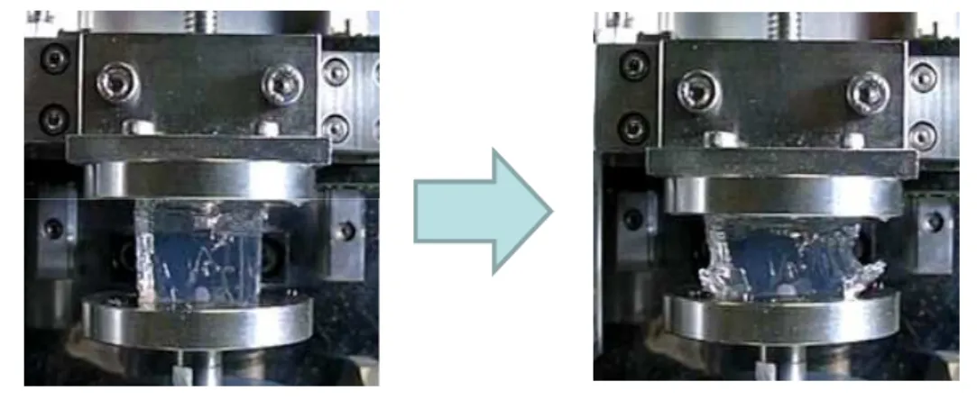 Fig. 4 Compression test of alternate brain 