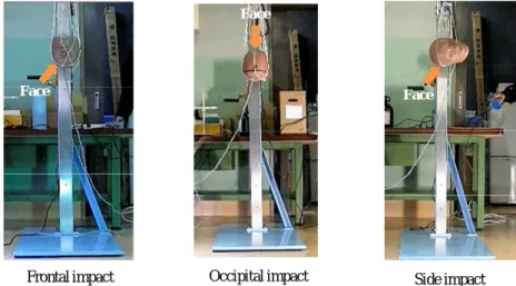 Fig. 7 Drop test in each impact direction 