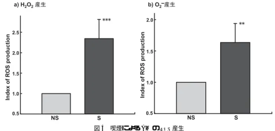図 4 喫煙による AM の ROS 産生