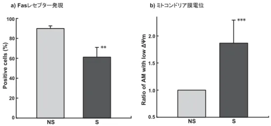 図 8 喫煙による AM の Fas レセプター (CD95) 発現とミトコンドリア膜電位 ( ΔΨ m)