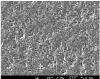 Figure 1. SEM image of a typical texture. 