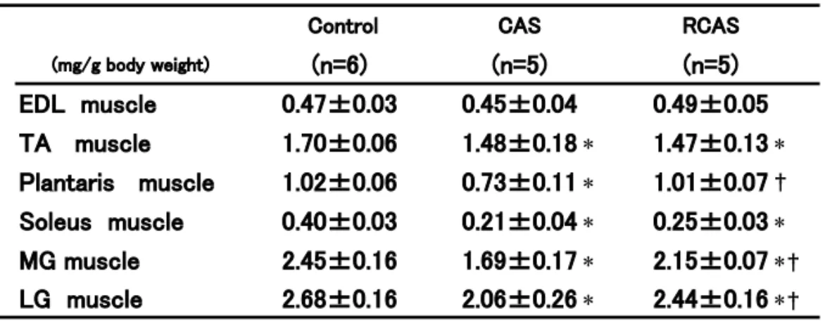 Table 2.  Relative skeletal muscle weights  of rat in each group.