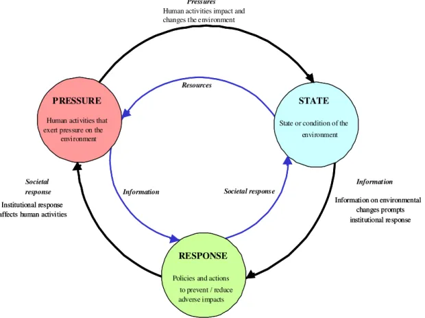 Figure 1.  Pressure-state-response (PSR) framework (adapted from [40]). 