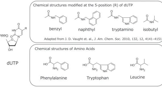 Fig. 2  Comparison of chemical structure between modified Aptamers and amino acid residues