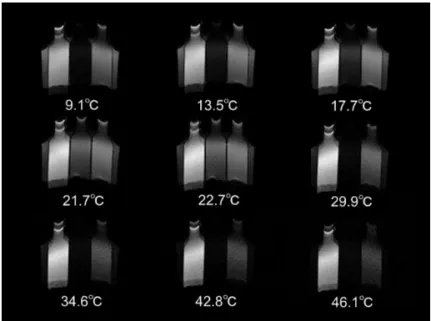 Fig. 5 Actually measured, b1000 s/mm 2 image of the phantom at each temperature.