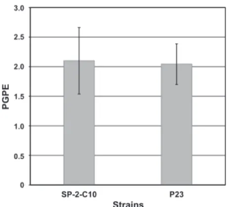 Fig. 4   Plant  growth-promoting  effect  (PGPE)  of  strain  SP-2-C10  and  A. calcoaceticus  strain  P23  in  secondary  sewage  effluent  (n  =  3)