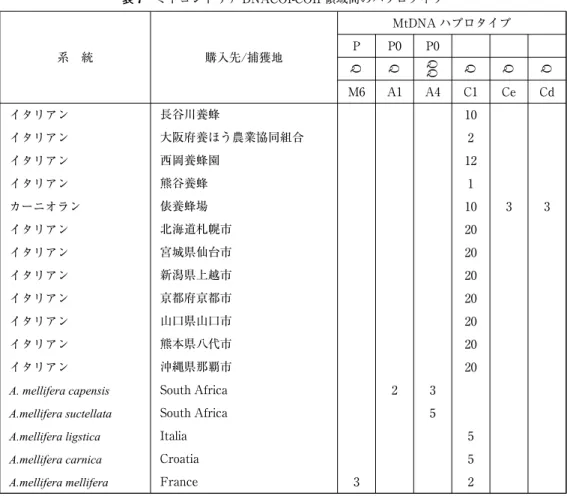 表 7 ミトコンドリア DNACOI-COII 領域間のハプロタイプ