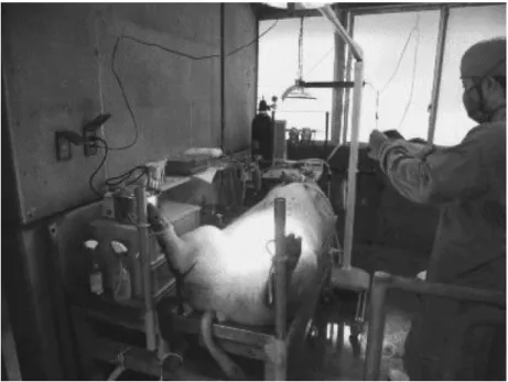 Fig. 1. Operating table made from dissection table.