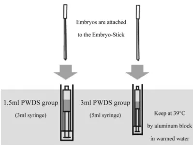 Fig. 2. The method of dilution for vitrified embryos with 1.5 or 3 ml of PWDS in a syringe warmed at 39℃.