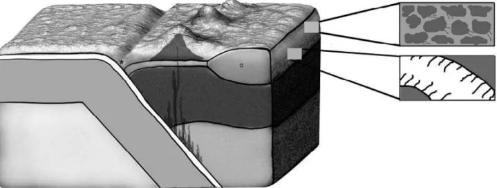 Figure 3.  Schematic drawing of the occurrence of microorganisms in the pore spaces of  sediments  or  sedimentary (upper box) rocks,  as well as fractures and veins in crystalline  rock (lower box)