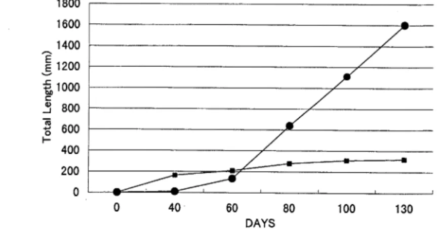 Fig.  7  Growth  of  the  longest  thalli  (undamaged  by  expo-