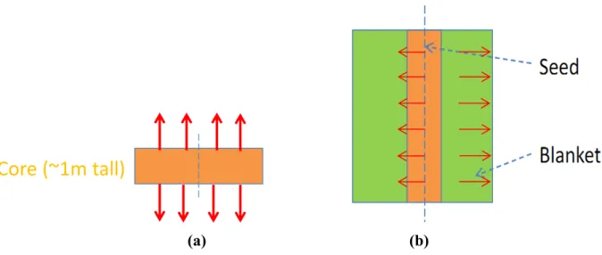 Figure 9. Schematic layout of (a) a conventional fast reactor core and (b) the proposed  core having a “cigar shape” seed surrounded by a blanket