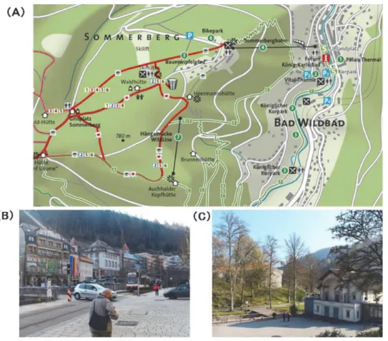 Fig. 2　A: Terrain features of Bad Wildbad. B: Photograph showing the city area of Bad  Wildbad