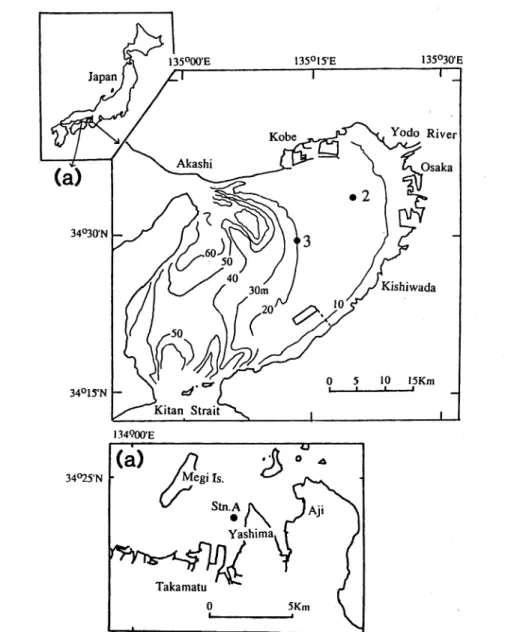 Fig.  1.  Location  of  sampling  stations  in  Osaka  Bay  and  the  Bisan  Strait,  the  Seto Inland  Sea,  Japan.