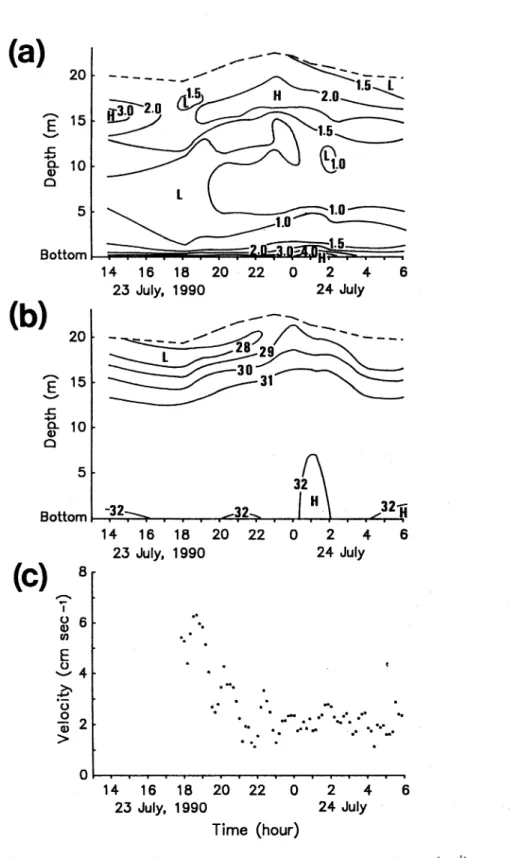 Fig.  6.  Time  changes  of  the  vertical  distribution  of  beam  attenuation  coefficient(m-1) (a)  and  salinity  (%0)  (b),  and  current  velocity  at  a  height  of  50cm  above  the  bottom (c)  at  Stn