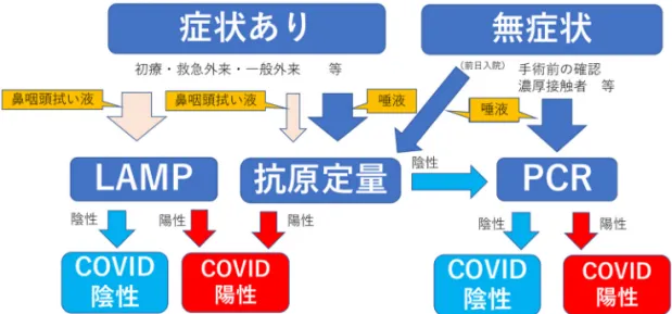 Fig. 4 　 SARS-CoV-2 検査での PCR ， LAMP ，抗原検査の使い分け．