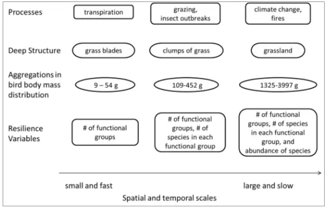 Figure 1. Four layers of a cross-scale resilience model using simplified grassland. First, the  key processes occur at discrete spatial and temporal scales, creating the heterogeneous and  hierarchical scales of deep structure present in the system