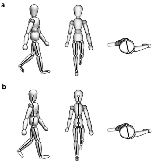 Fig. 4　An illustration of body segments controlling to performance variable.