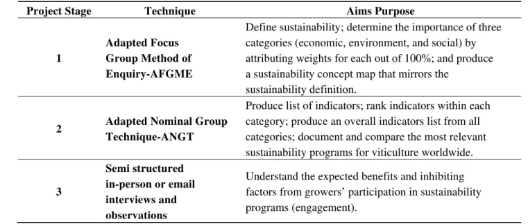 Table 1.  Project stages during group interviewing: technique and aims. 