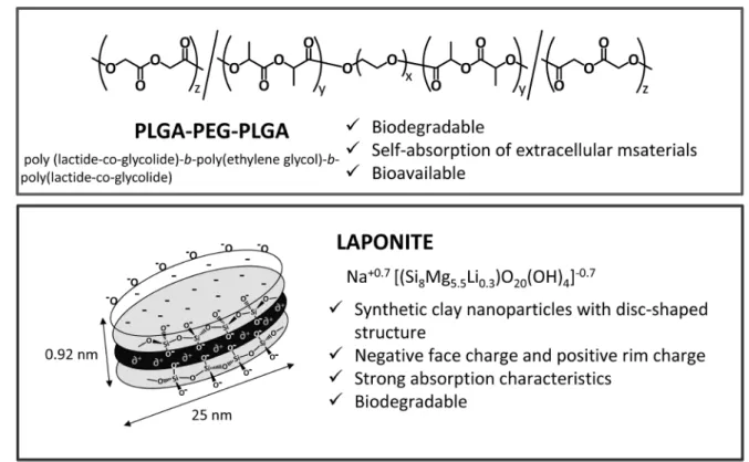 Fig. 1.  Desired gel formation using two kinds of materials. By selecting appropriate ratio of two gel materials in solution, which is criti- criti-cal for making gel to solution at different temperature, {PLGA-PEG-PLGA: poly(lactide-co-glycolide)-b-poly(e