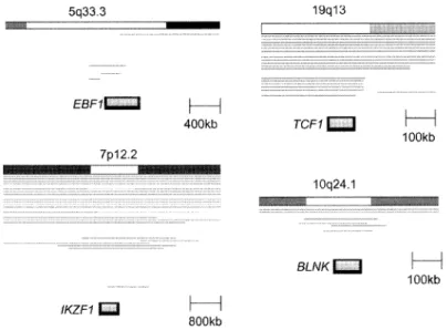 Fig.  7  Ideograms  showing  common  deleted  region  including  genes  associated  with  B-cell  differentiation  and  development  EBFJ,  TCFJ,  IKZFJ  and  BLNK  are  recurrently  deleted  in  pediatric  leukemia