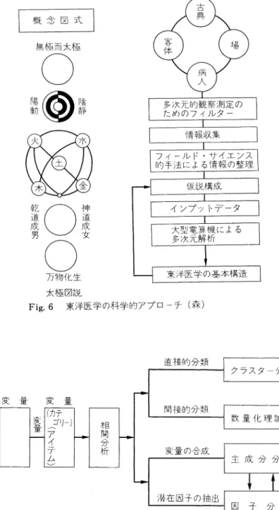 Fig.  6  東 洋 医 学 の 科 学 的 ア プ ロ ー チ(森)概 念 図 式