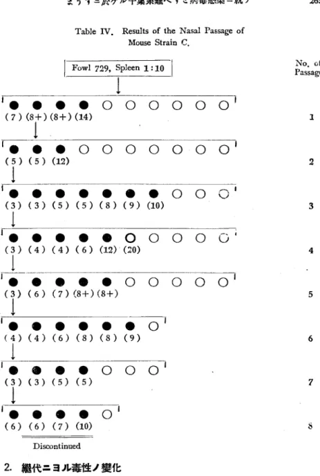 Table  IV.  Results  of  the  Nasal  Passage  of  Mouse  Strain  C. 2.  繼 代 ニ ヨル 毒 性 ノ 變 化 A′ ま うす ニ對 ス ル 毒 性 第V表 ニ示 サ ル ヽ如 ク 各 系 最 初 數 代 間 ノ成 績 ニ就 キ 觀 察 ス ル ニA系 ニ 於 テ ハ 第2代 ま うす ヨ リ經 過 著 シ ク短 縮 シ第3代 ま うす ニ至 リテ 斃 死 率 モ 亦 著 シ ク上 昇 シA′ 系 並 ニC系 ニ於 テ ハ 第3代 ま う