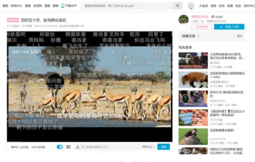 図 1  BiliBili の動画視聴画面