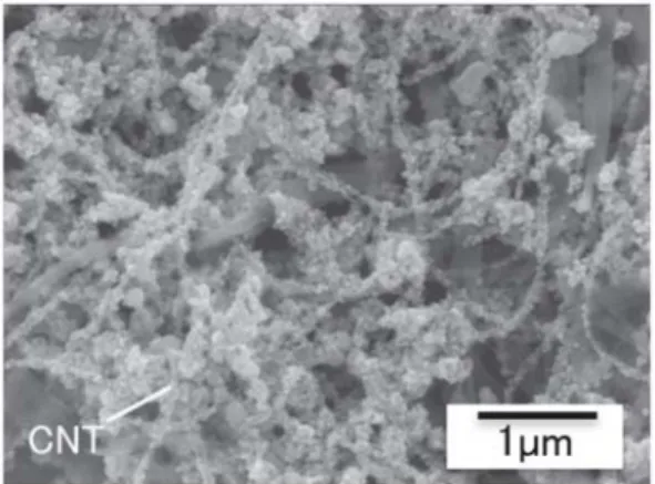 Figure  4 FE-SEM  image  of  silver/carbon  nanotube  nano- nano-composite