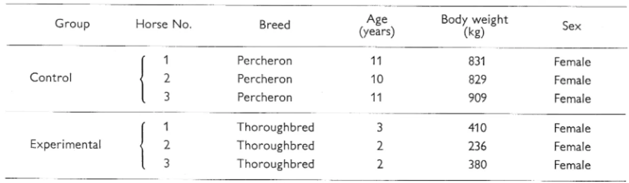 Table  1.  Experimental  horses