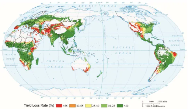 Figure 9. Global expected annual maize drought risk. Red areas have a higher risk of maize drought,  Figure 9