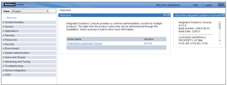 図 3.1 IBM Integrated Solutions Console