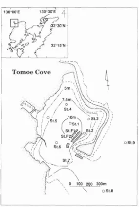 Fig.  1  Topography  and  bathymetry  of  the  study  area,  Tomoe  Cove.  Shaded  areas: 