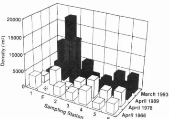 Fig.  10  Changes  of  densities  of  the  macrobenthic  communities  in  the  cove  in  springs  since  1966