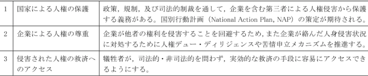 表 2  ビジネスと人権に関する国連指導原則の 3 本の柱 