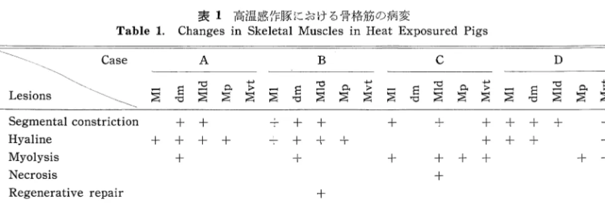 Table  1.  Changes  in  Skeletal  Muscles  in  Heat  Exposured  Pigs