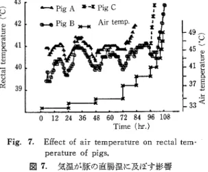 Fig.  7.  Effect  of  air  temperature  on  rectal  tem‑