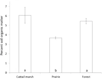 Figure 2. Percent soil organic matter (SOM) for the cattail marsh, prairie, and forest are shown with standard error bars