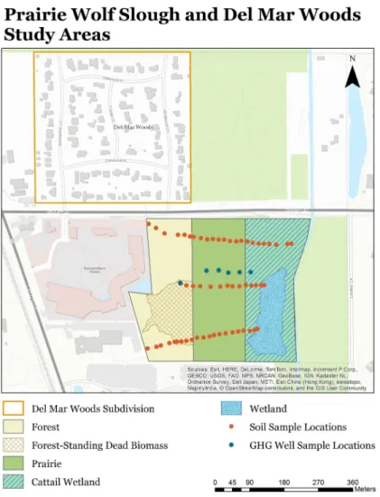 Figure 1. This map represents the approximately 30-hectare study site. The area includes subdivision (residential), wetland (cattail marsh), prairie (areas of wet meadow closer to the cattail marsh are not outlined due to variability in boundaries), and fo