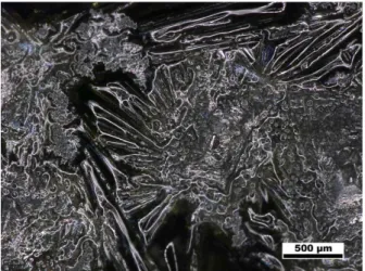 Figure  2. A  microphotograph  of  komatiite  synthesized at 1600 °C.