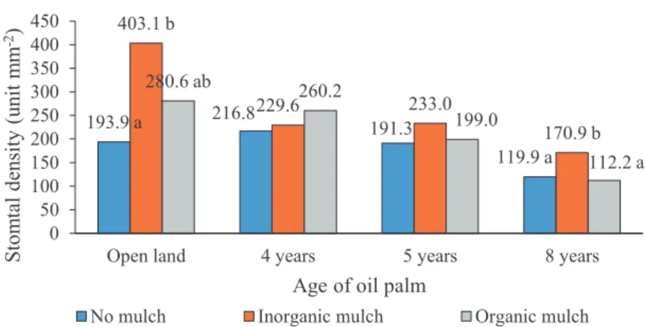 Fig. 5.  Stomatal density of soybean leaves in open land under 4-, 5-, and 8-year-old oil palm stands using reflective mulch.