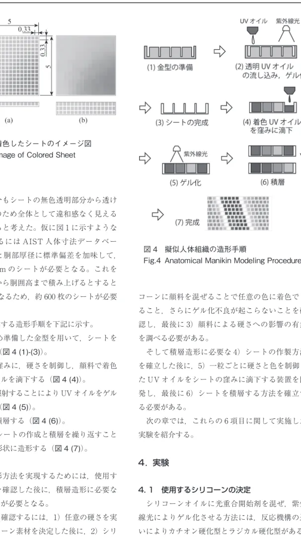 図 4  擬似人体組織の造形手順