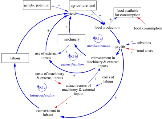 Figure 3. Causal loop diagram representing mechanization and intensification reinforcing feedback loops (respectively R1a, R1b) driving food production growth under conditions of rising profits; some links are omitted for visual clarity.