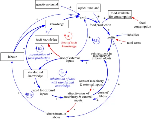 Figure 5. Causal loop diagram representing the relationship between food production and knowledge (B3, R4); some links are omitted for visual clarity.