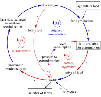 Figure 7. Causal loop diagram representing efficiency maximization reinforcing feedback loop (R5) driving food production growth under conditions of falling profits; some links are omitted for visual clarity.