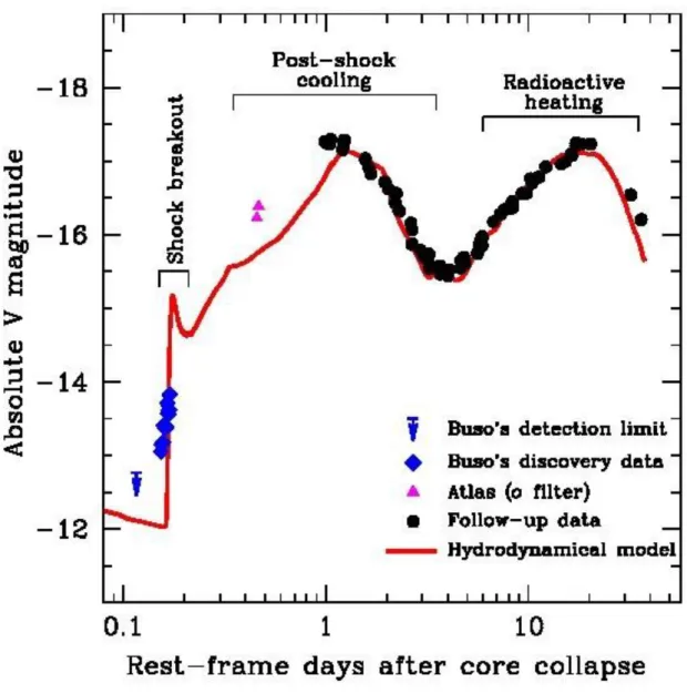 図 3.  観測された  SN2016gkg  の光度曲線  (点で示す部分)  と爆発モデル  (赤線)。モデルは異なる時間スケールで起 きる超新星爆発の 3 つの段階を再現しています。1 番目がショックブレイクアウト  (数時間スケール)、2 番目が衝撃 後冷却による放射(数日スケール)、最後が放射性加熱で生じる放射です  (数週間スケール)。Buso  氏の発見は青の点 で示しており、ショックブレイクアウトの急激に明るくなっていく段階に相当します。 （Credit：Bersten et al