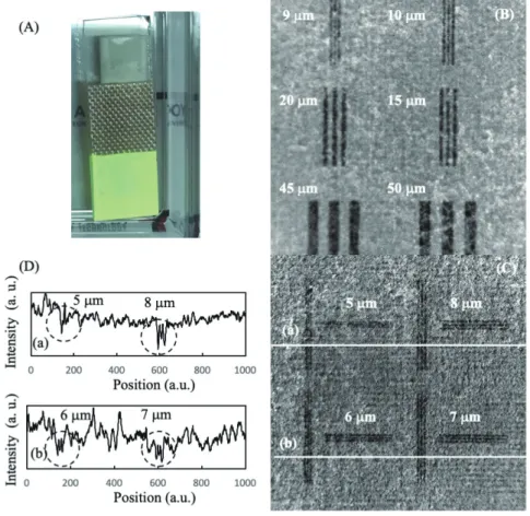Fig. 2　 Appearance of the SrGa 2 S 4 :Eu scintillator （A） , captured X - ray images of the chart with  5  μ m to 50  μ m L/S （B） （C）, , and line profiles （D） for  5  μ m to 8  μ m L/S along the two  white solid lines （a） （b）,.